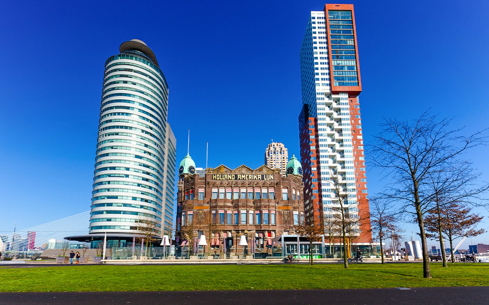 rotterdam cruises