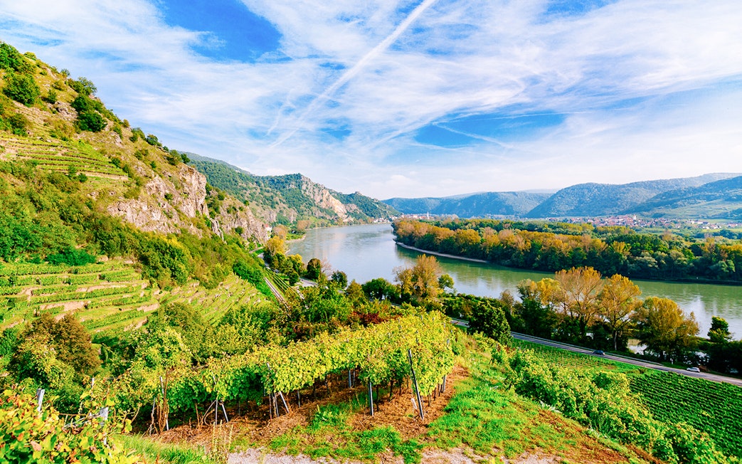 Aerial view of Danube River with vineyards and hills in Austria.