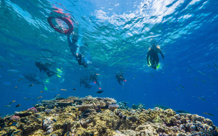Snorkelers exploring coral reefs in clear waters near Cairns, Australia.