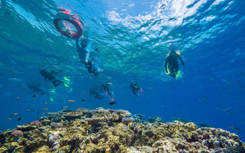 Snorkelers exploring coral reefs in clear waters near Cairns, Australia.