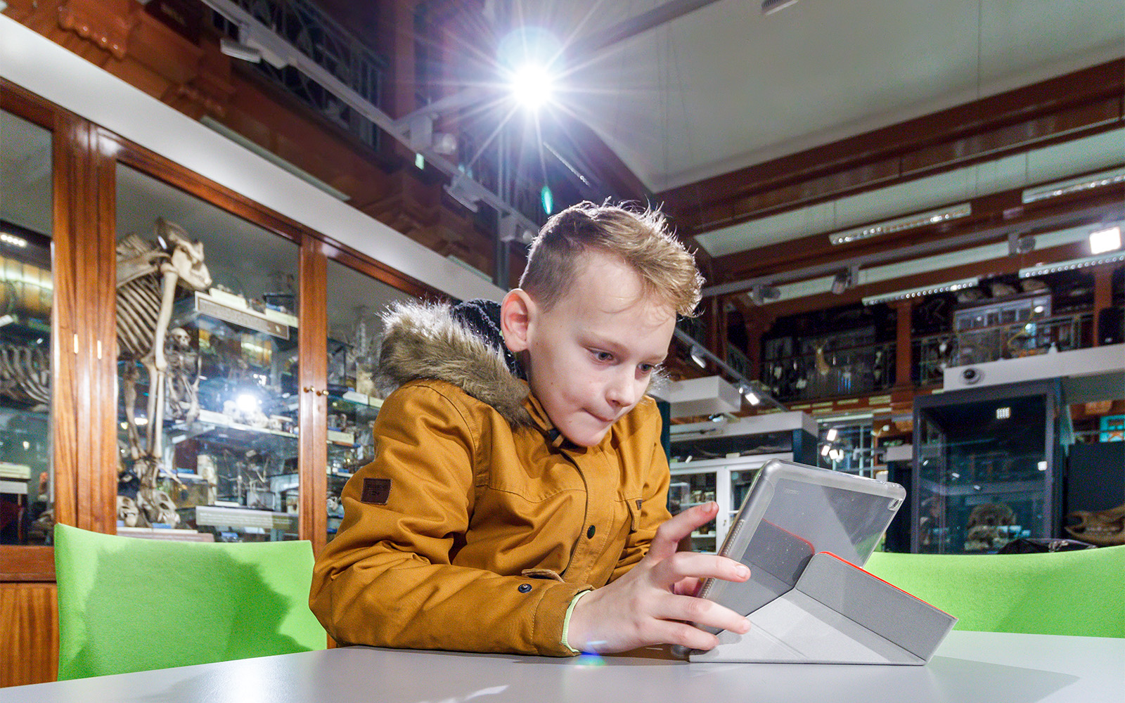 Grant Museum of Zoology	