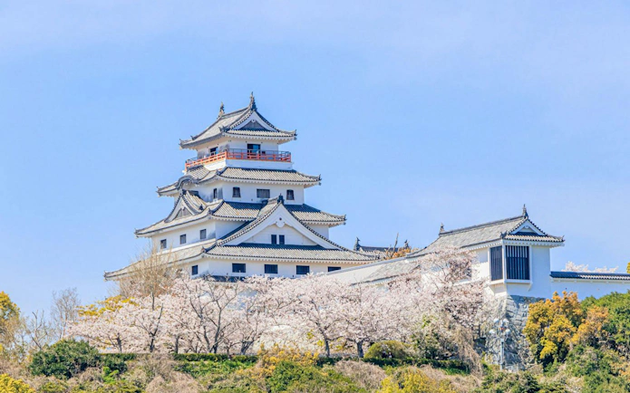 Karatsu Castle with cherry blossoms in Karatsu City, Saga Prefecture.