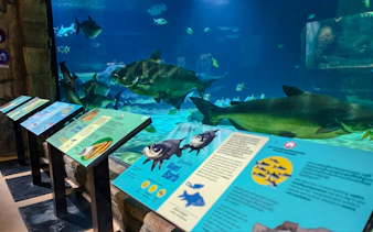 Aquarium display with fish and informational panels at Angkor Wildlife and Aquarium, Siem Reap.