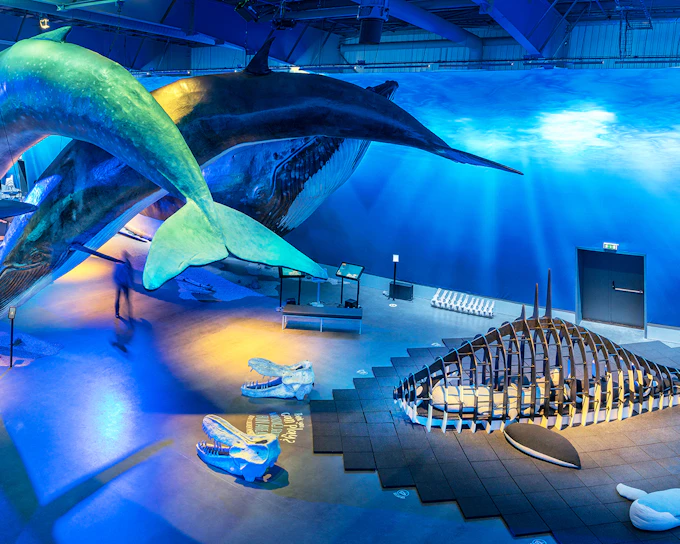 Tickets to Whales of Iceland Museum
