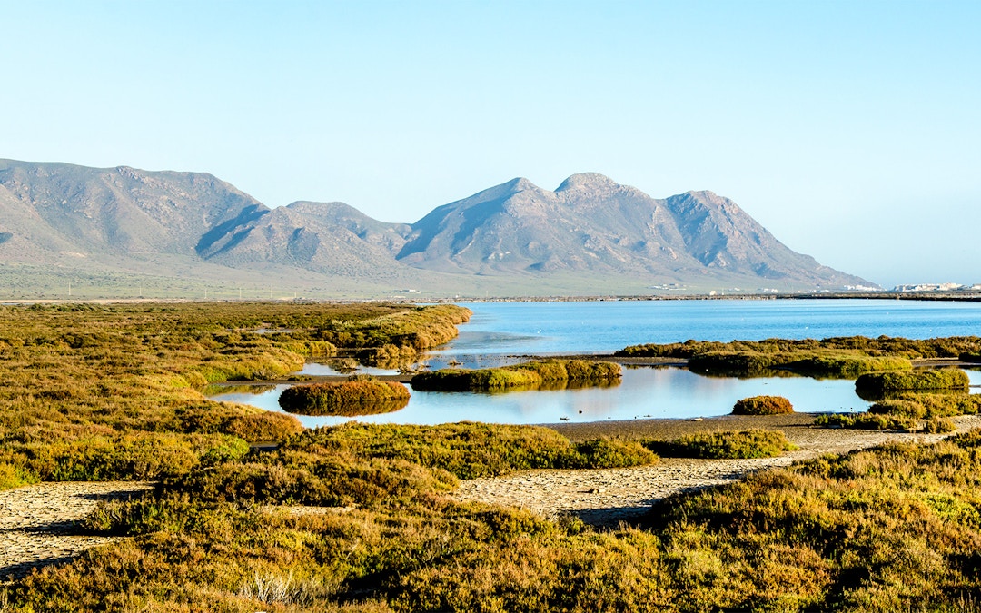 Cómo llegar a cabo de gata desde almeria