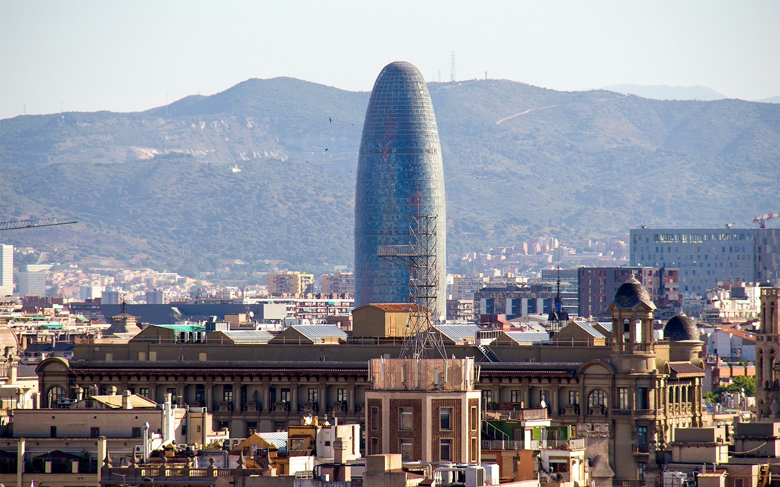 Torre Glòries - City Tour Barcelona Tours