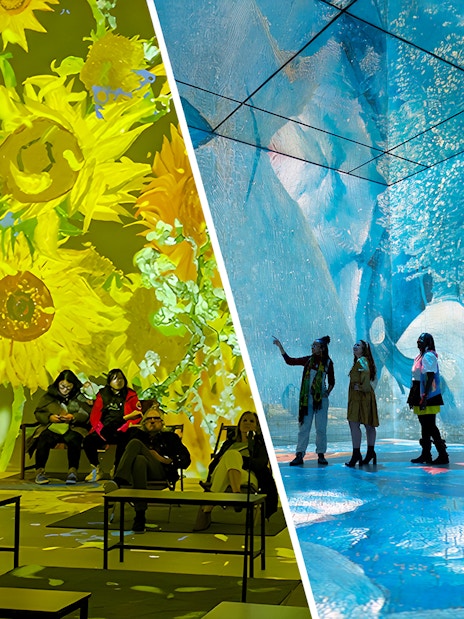 Guests viewing immersive Van Gogh art projections at London exhibition.