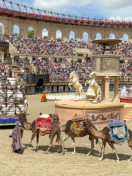 Camels in a Roman-themed arena show at Puy du Fou Theme Park.