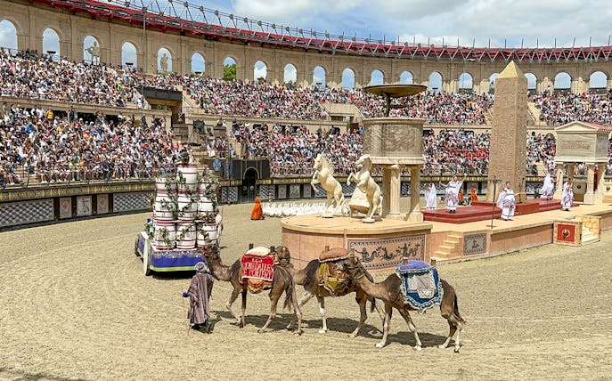 Camels in a Roman-themed arena show at Puy du Fou Theme Park.