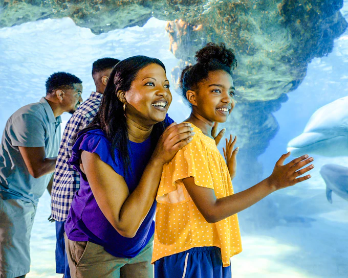 SeaWorld Orlando: Entry Tickets with All-Day Dining Add-On