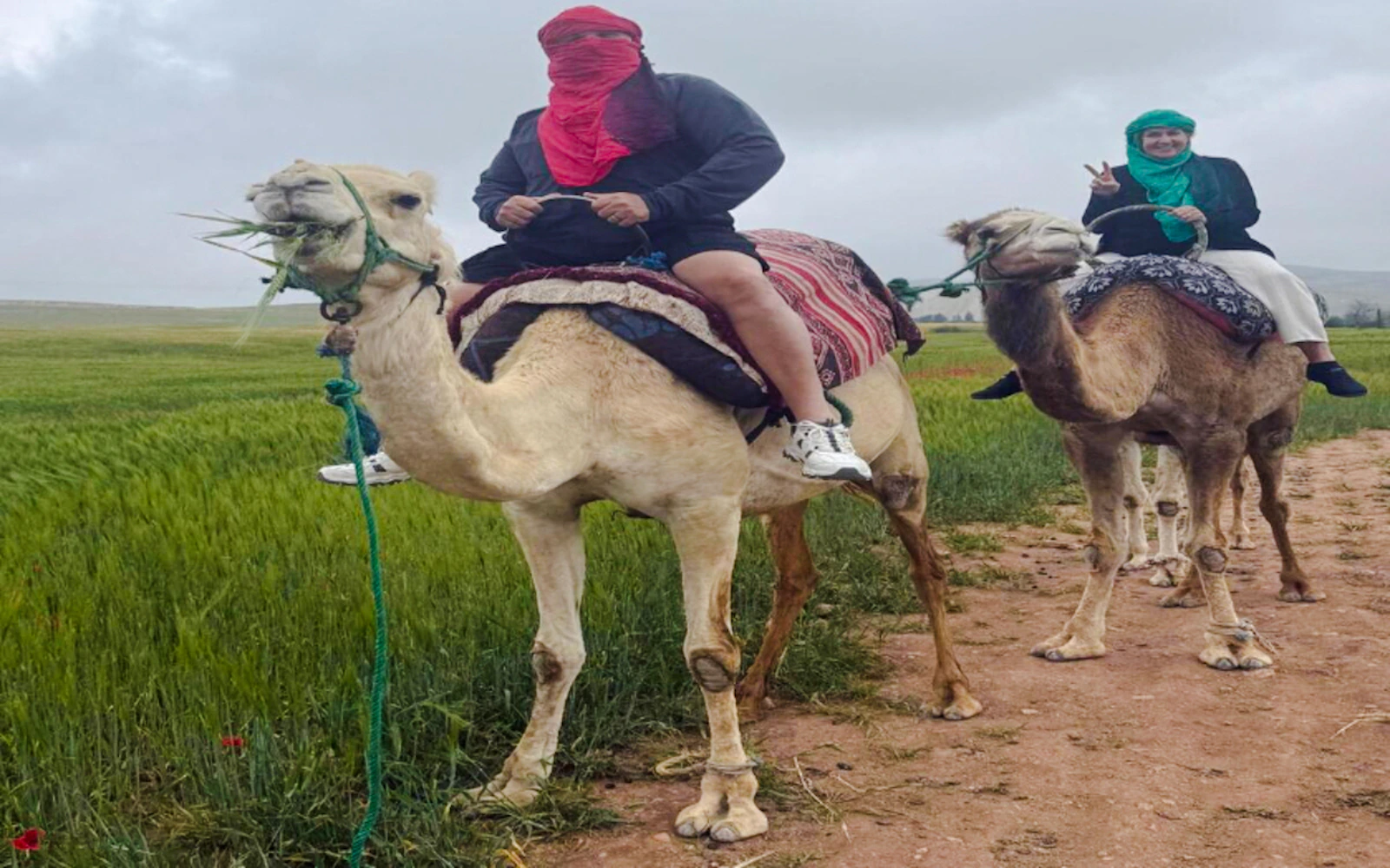 From Marrakech: Private Atlas Mountains & Agafay Desert Day Trip with Camel Ride