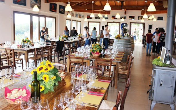 Wine-tasting setup in a rustic dining room near Mount Etna, with tables set for guests.