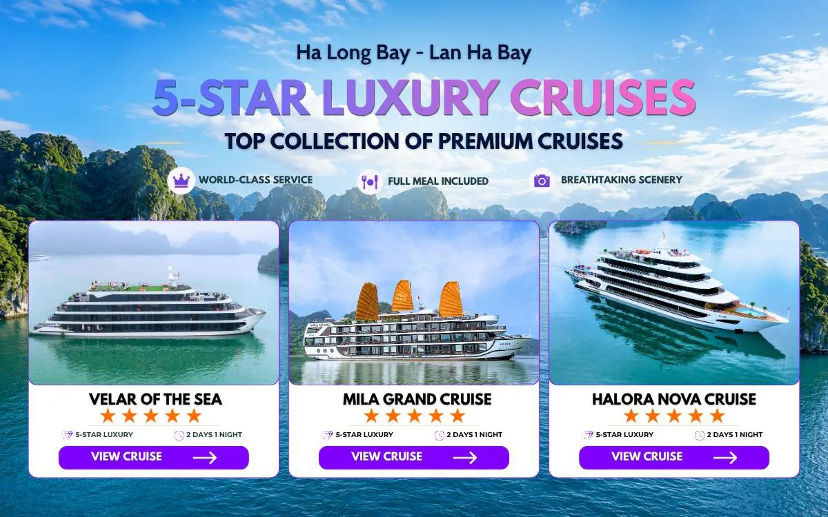 Lan Ha Bay 5-star cruises with scenic views and premium services.
