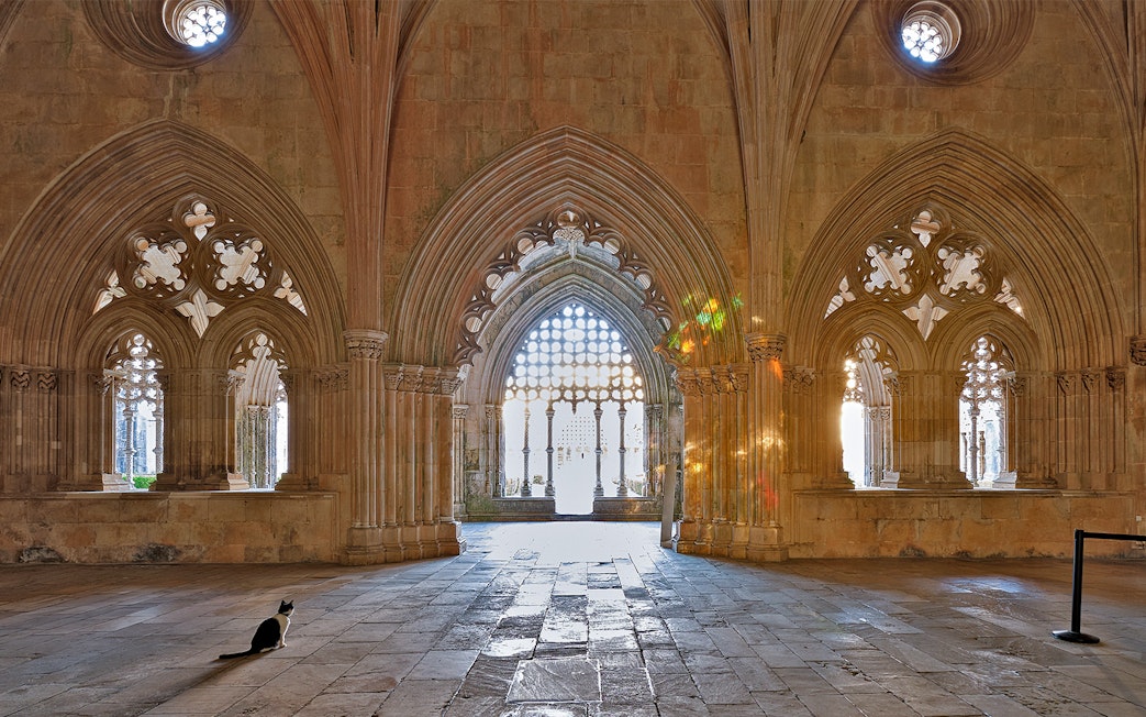 Gothic arches inside Lisbon monastery with a cat sitting on the stone floor.