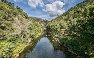 Paiva River flowing through lush forest and mountains in Arouca, Portugal.