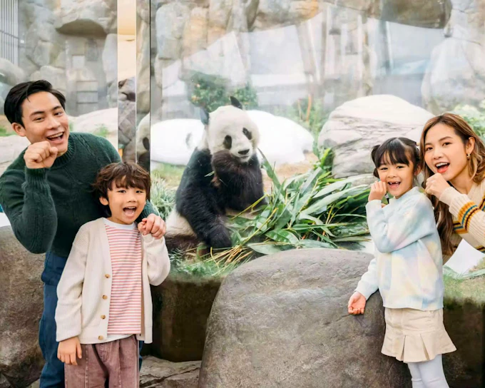 Ocean Park Ticket with Exclusive Giant Panda Twins Encounter