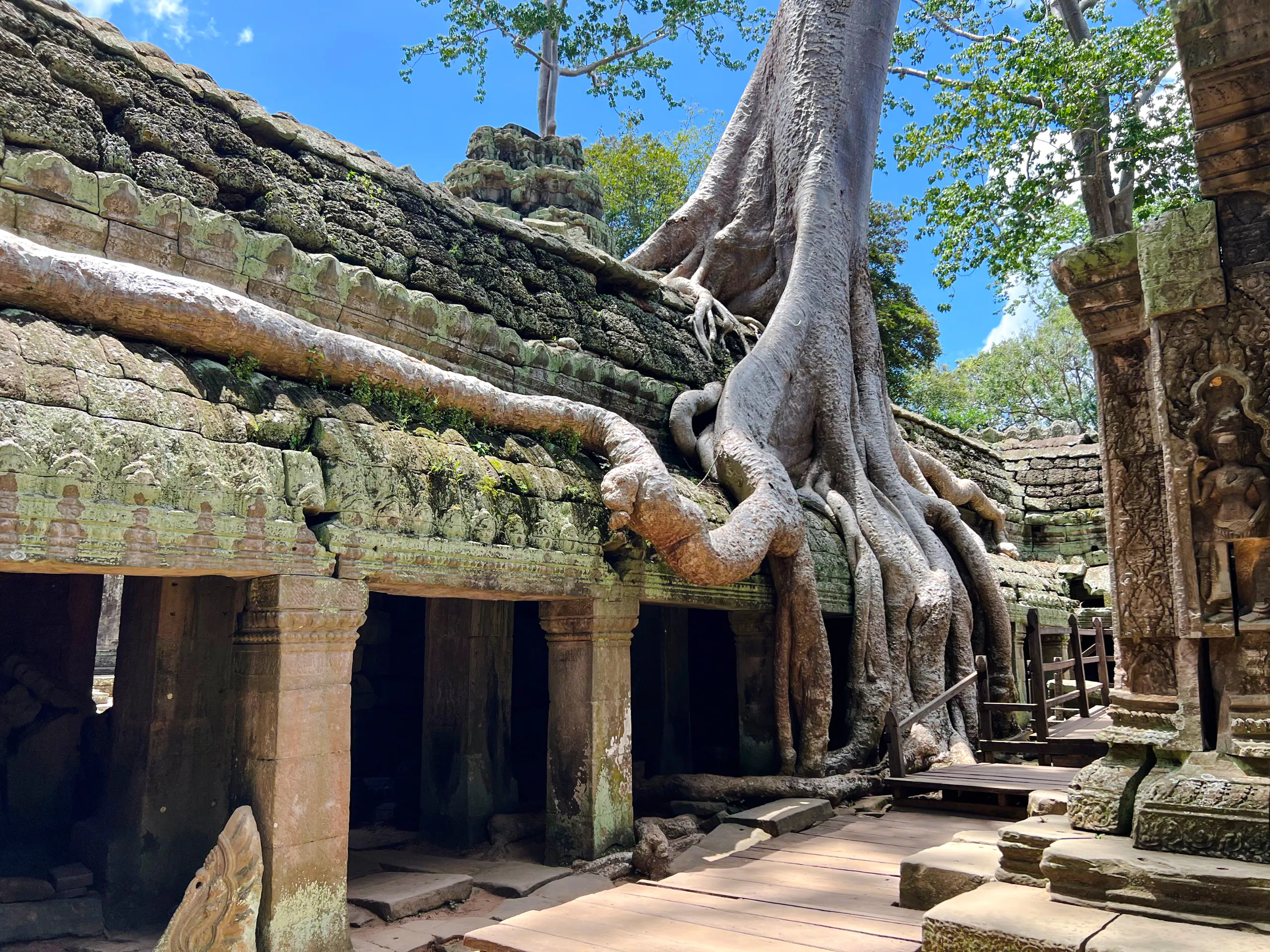 angkor wat half-day sunrise guided tour with breakfast and visits to ta prohm and bayon-6