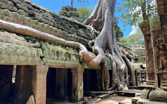 angkor wat half-day sunrise guided tour with breakfast and visits to ta prohm and bayon-6