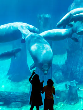 River Wonders Singapur