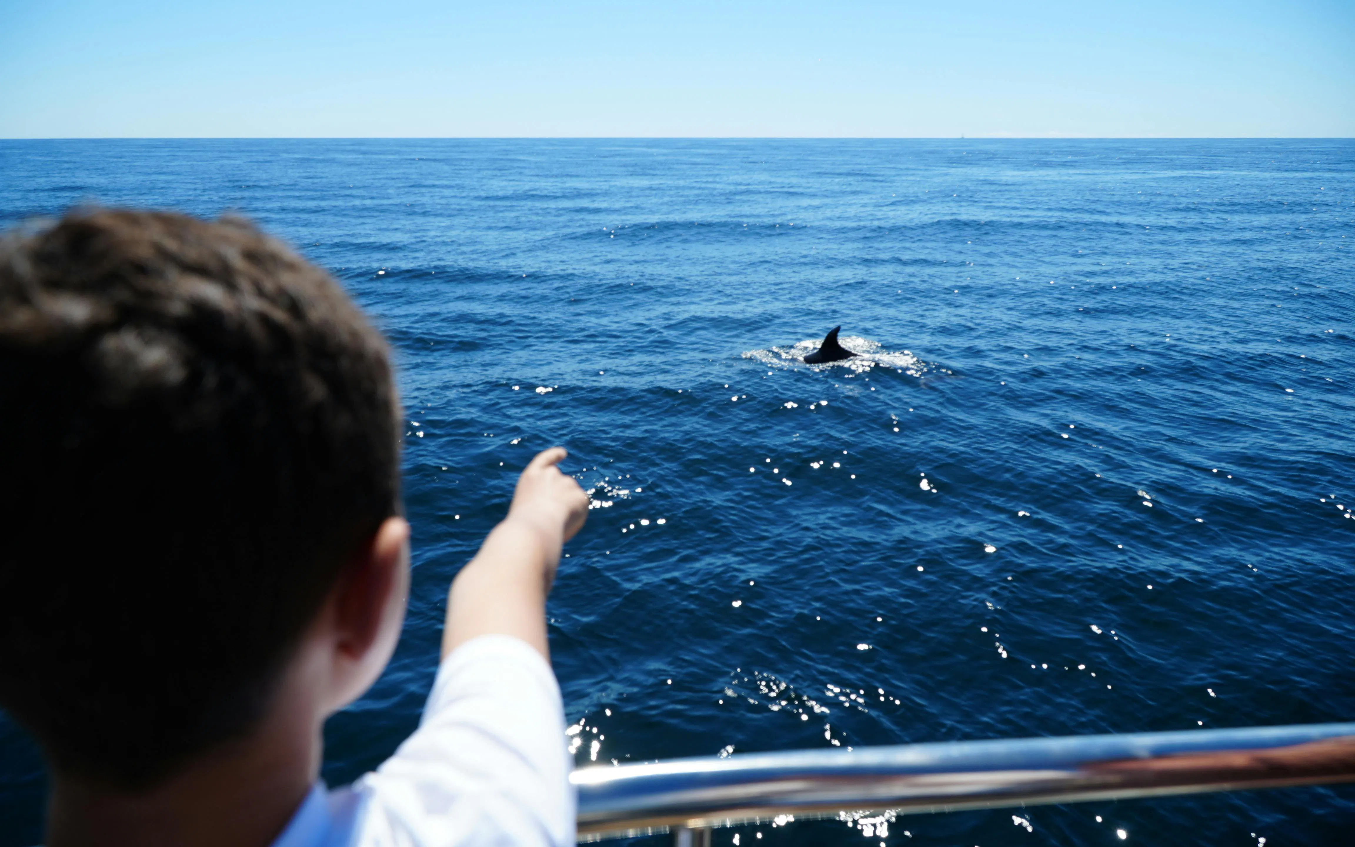 Tourist pointing at dolphin near Benagil Caves, Algarve.