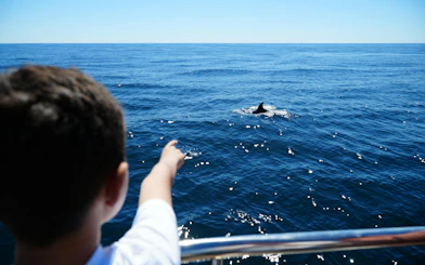 Tourist pointing at dolphin near Benagil Caves, Algarve.