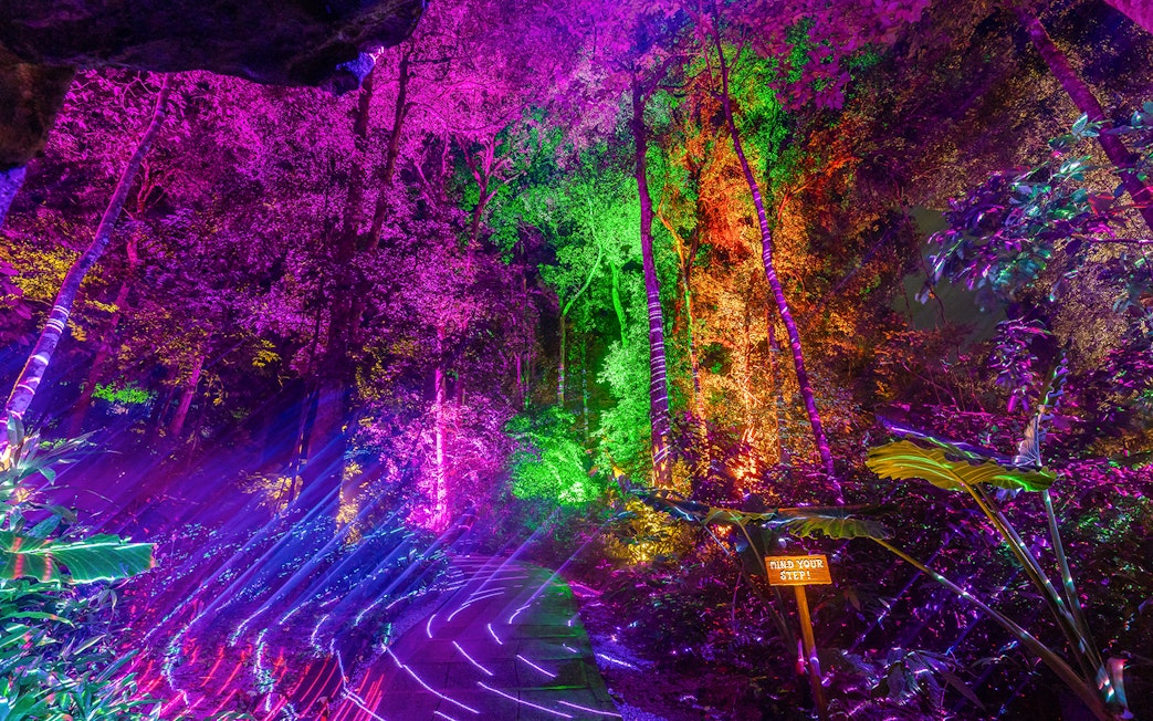 Illuminated trees with colorful lights at Dream Forest Langkawi.