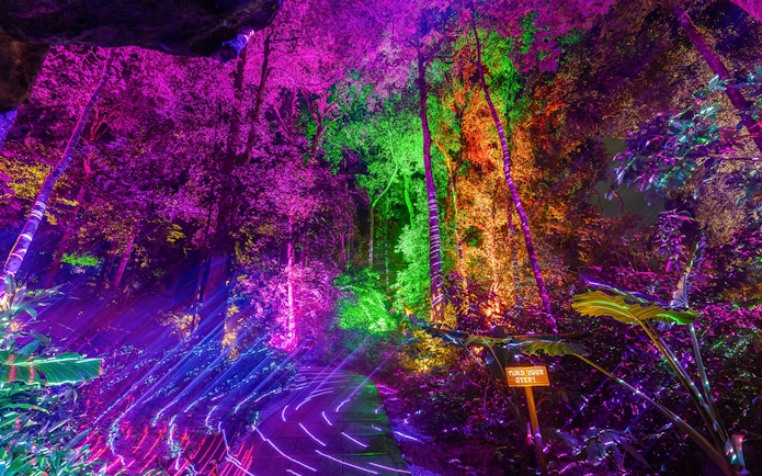 Illuminated trees with colorful lights at Dream Forest Langkawi.