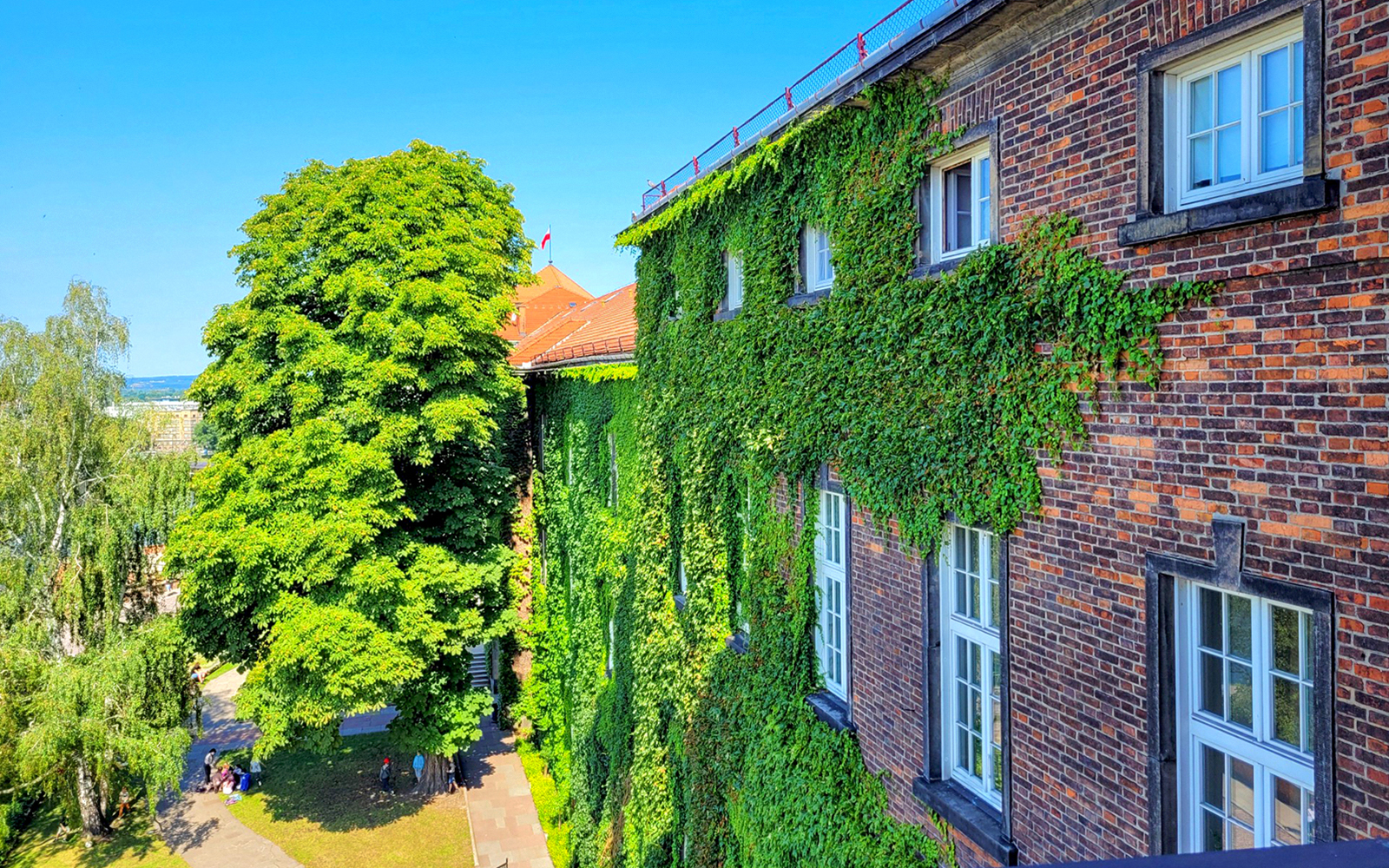 Wawel Castle exterior with ivy-covered walls and lush trees in Krakow, Poland.