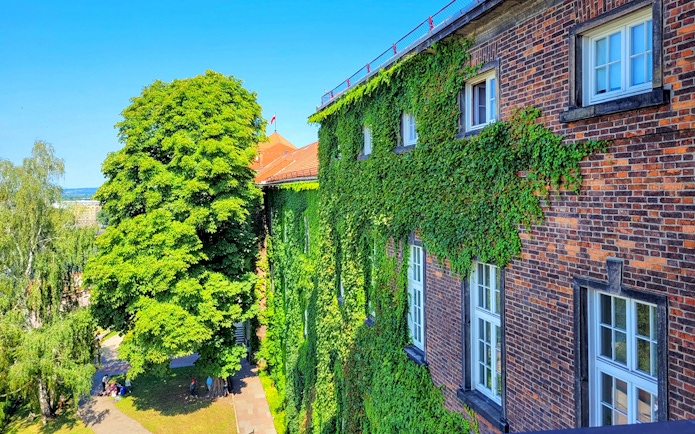 Wawel Castle exterior with ivy-covered walls and lush trees in Krakow, Poland.