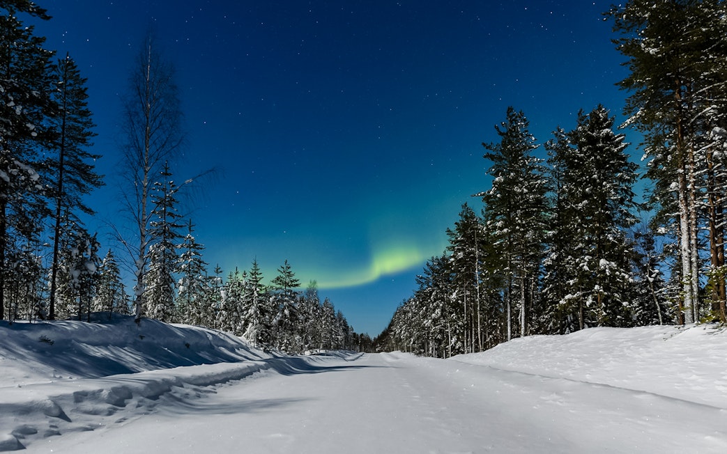 Aurora borealis over snowy forest road in Lapland during animal safari.
