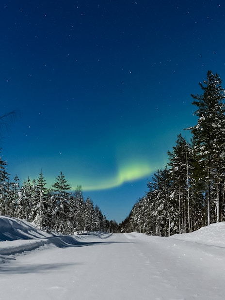 Aurora borealis over snowy forest road in Lapland during animal safari.