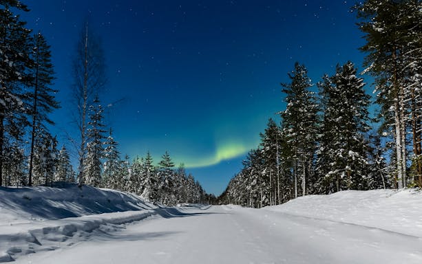 Aurora borealis over snowy forest road in Lapland during animal safari.