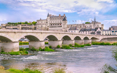 Royal Amboise Castle with bridge over Loire River, France.