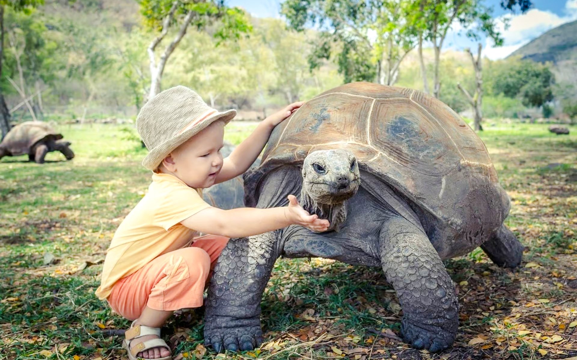 Child interacting with a giant tortoise at Chamarel Park, Mauritius.