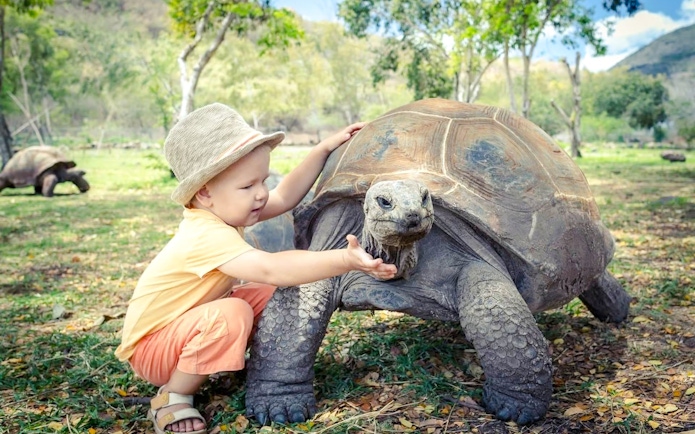 Child interacting with a giant tortoise at Chamarel Park, Mauritius.