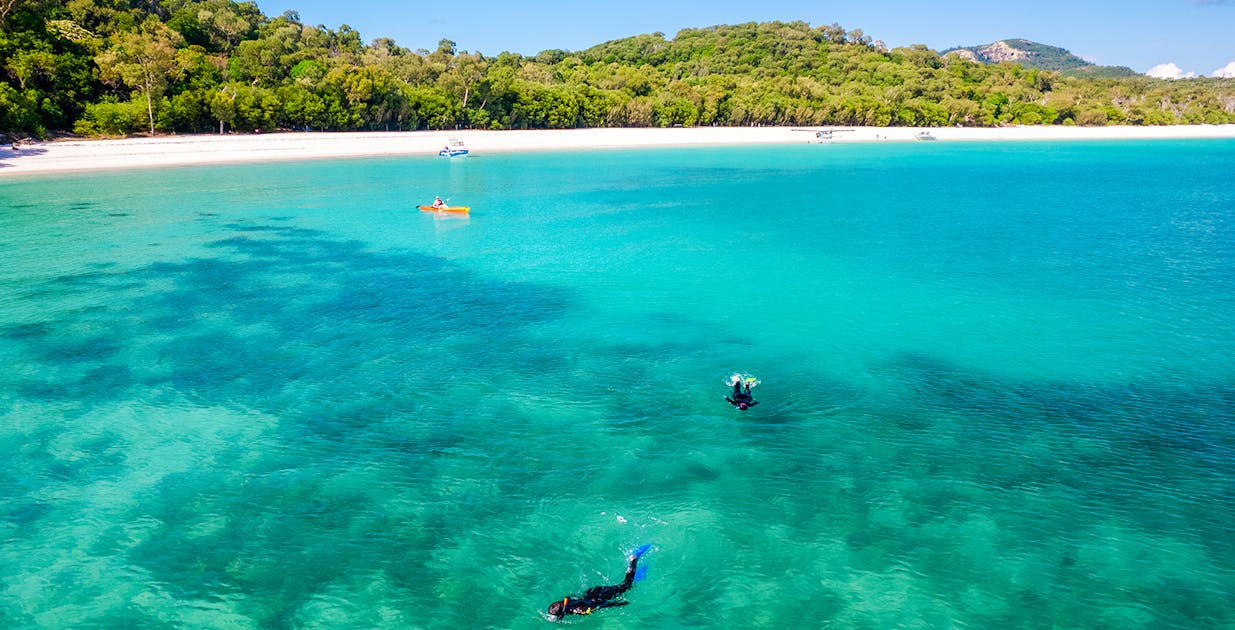 Whitsundays Snorkelling