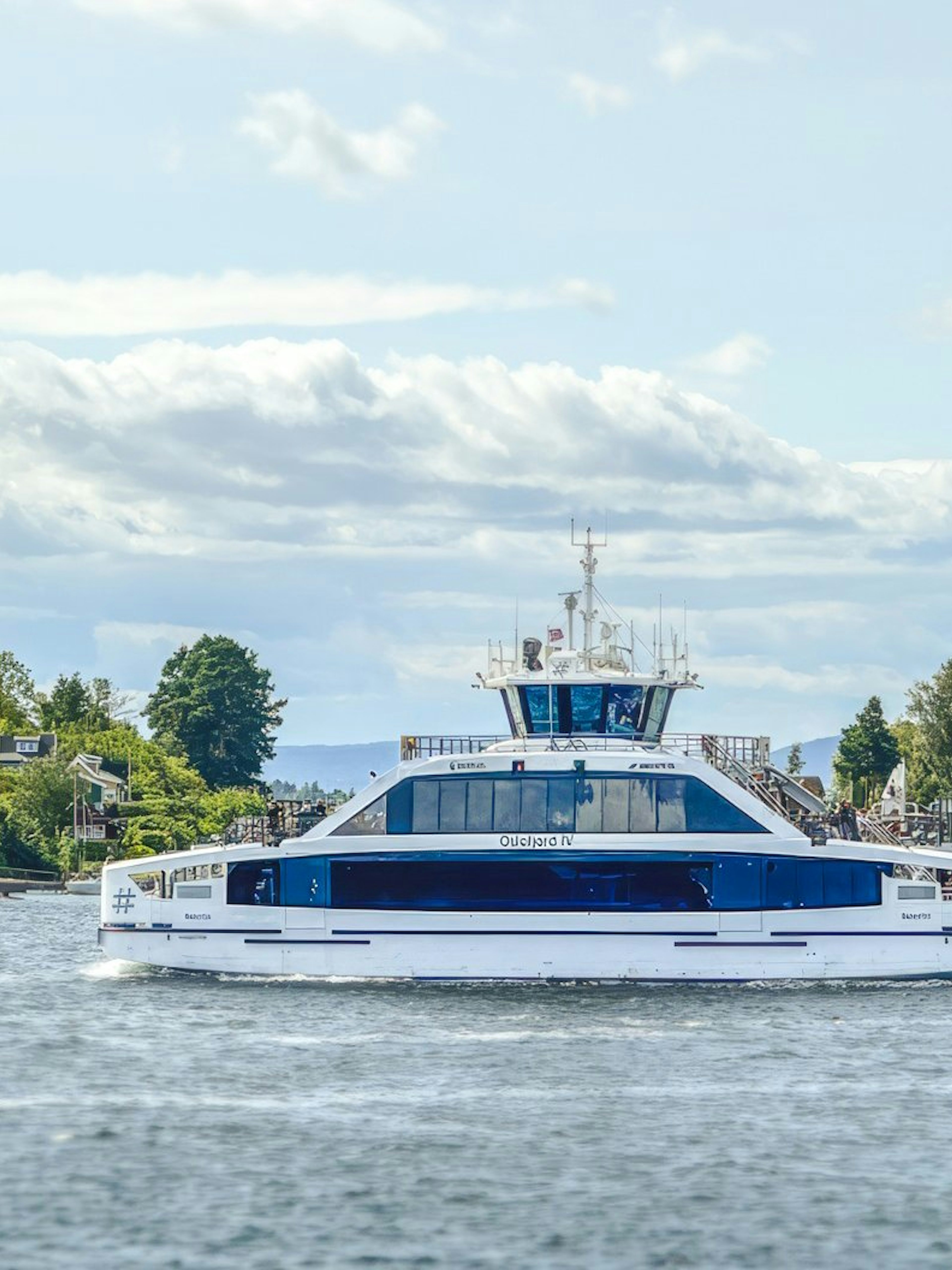 Cruise ship on Oslofjord with scenic coastal houses in the background.