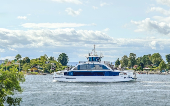 Cruise ship on Oslofjord with scenic coastal houses in the background.