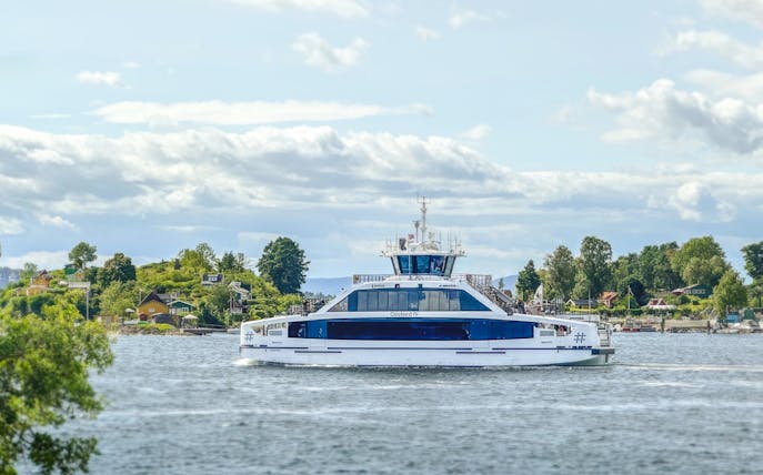 Cruise ship on Oslofjord with scenic coastal houses in the background.