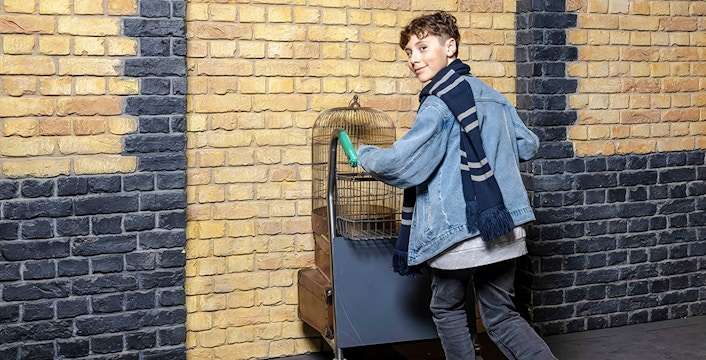 Harry Potter The Exhibition Sydney