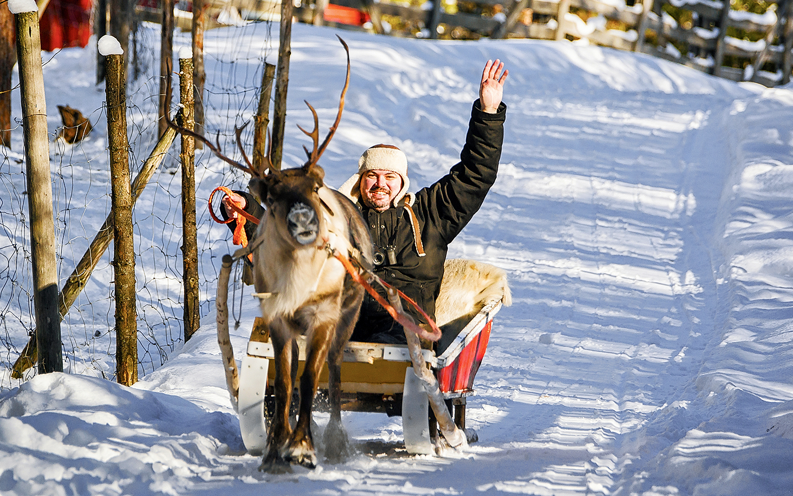 Reindeer pulling a sled with a smiling person waving on a snowy path in Rovaniemi.