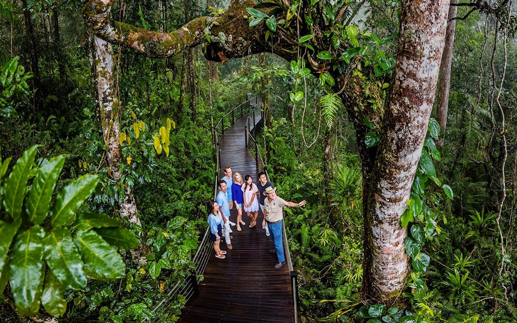 Visitors on a rainforest boardwalk tour at Barron Falls Skyrail Station.