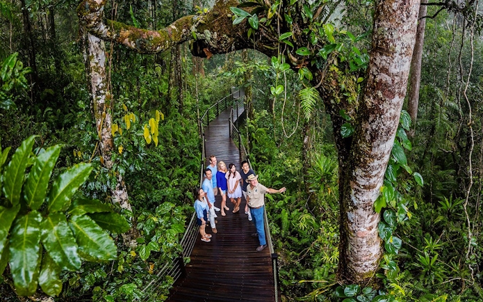 Visitors on a rainforest boardwalk tour at Barron Falls Skyrail Station.