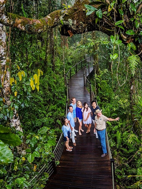 Visitors on a rainforest boardwalk tour at Barron Falls Skyrail Station.