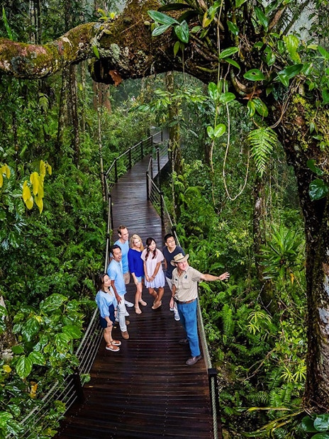 Visitors on a rainforest boardwalk tour at Barron Falls Skyrail Station.