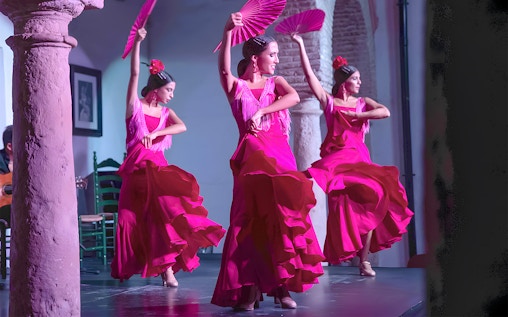 El Cardenal - Espectáculo de flamenco