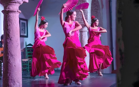 El Cardenal - Flamenco Show