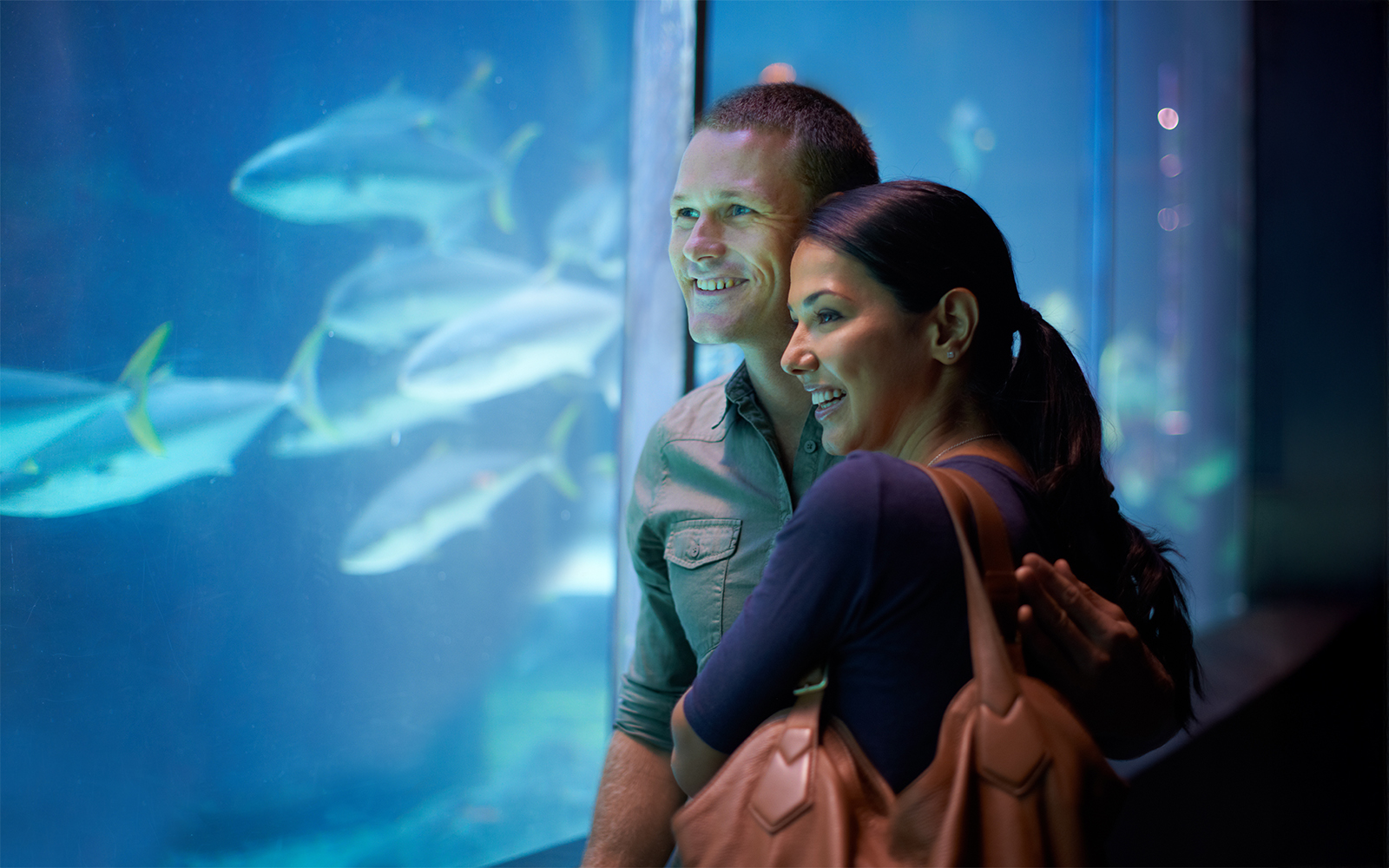 Couple observing fish at an aquarium exhibit.