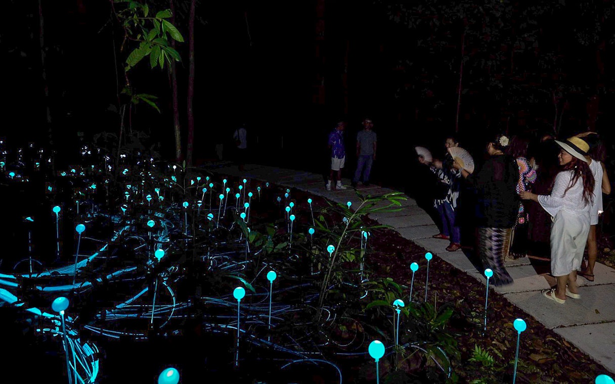 Visitors observing glowing lights in Dream Forest at night.