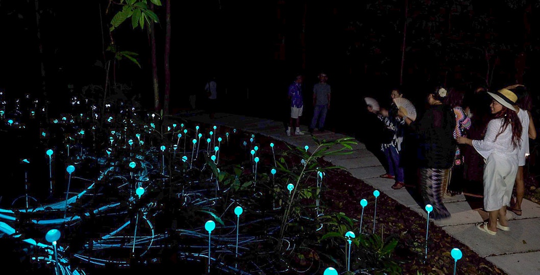 Book Dream Forest Tickets